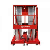 Двухмачтовый подъемник SKYER GTWY8-200 HV Market