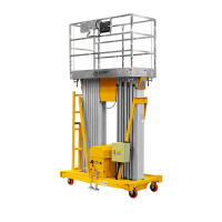 Подъемник мачтовый несамоходный GTWY 10-200S (AC&DC; 200 кг; 10 м) SMARTLIFT HV Market
