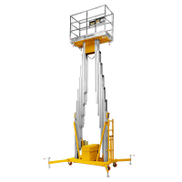 Подъемник мачтовый несамоходный GTWY 10-200S (AC&DC; 200 кг; 10 м) SMARTLIFT HV Market
