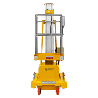 Подъемник мачтовый несамоходный GTWY 10-100 (220В; 125 кг; 10 м) SMARTLIFT HV Market